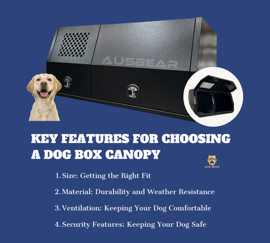 Key Features to Consider When Choosing a Dog Box Canopy